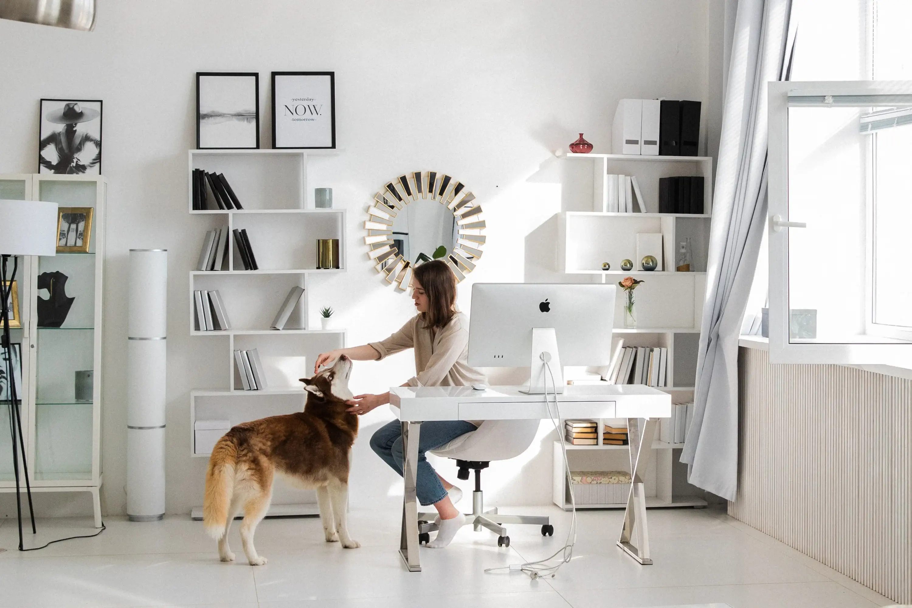 a woman sitting at a home office desk petting a dog